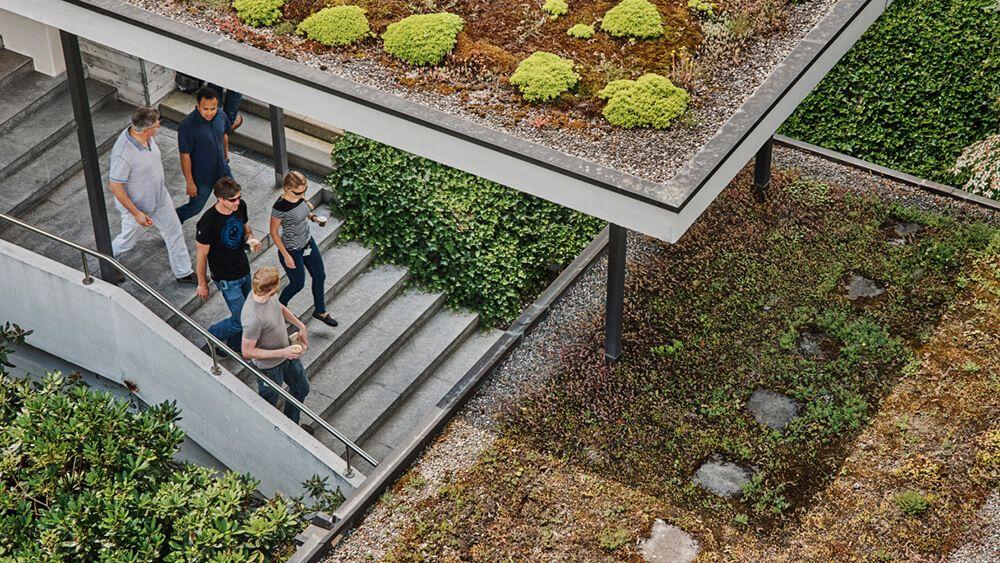 consultants in discussion while walking outside building